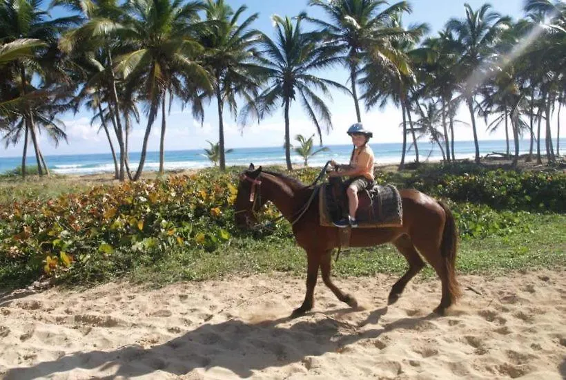 Residencial Selene V Aparthotel Punta Cana Repubblica Dominicana